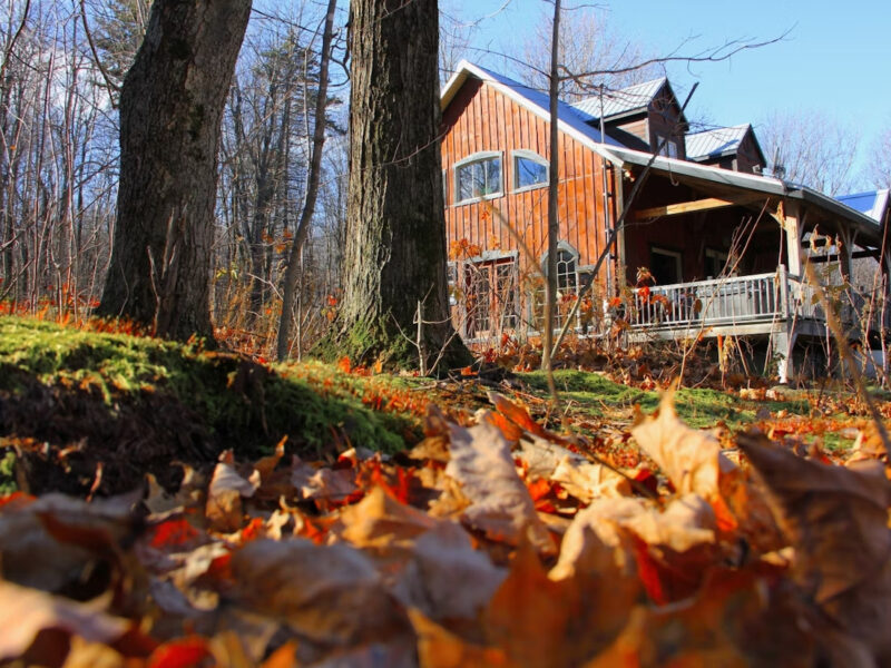 COVEY HILL | Grand chalet au coeur de la forêt